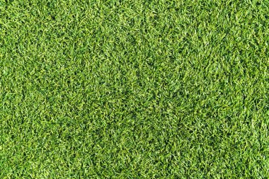 Suni çim, yukarıdan görünüm