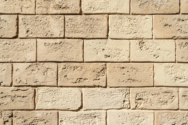 Doku tuğla üzerinden arka plan sanat gibi dekoratif kabuklu deniz ürünleri