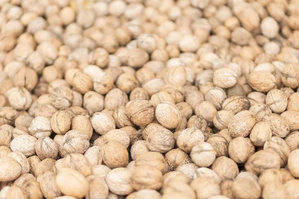 Piso de nueces en cáscara — Foto de Stock