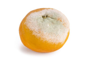 beyaz üzerine çürük mandalina