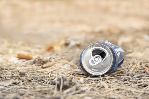 crushed metal can of beer in woods