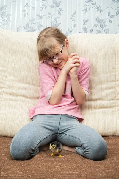 Klein meisje bewondert een klein kuiken — Stockfoto