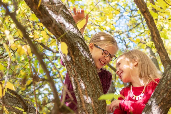 Sisters play on a tree — Stock Photo, Image