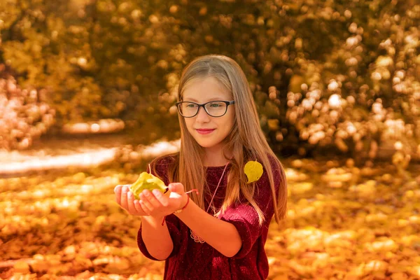 Портрет Маленької Дівчинки Осіннім Листям Руках Тлі Лісу — стокове фото