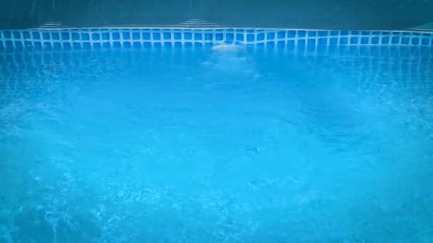 Grâce Filtre Pour Purification Eau Eau Douce Pénètre Dans Piscine — Video