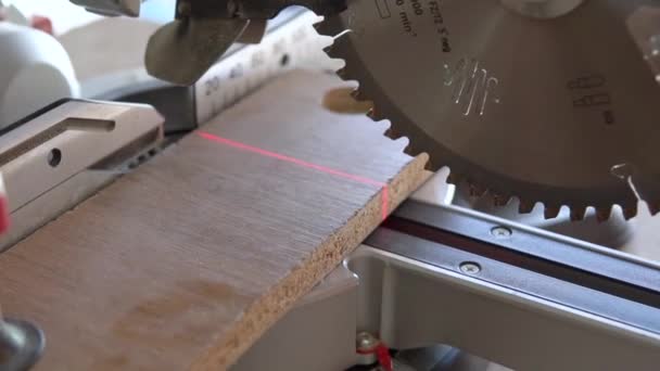 Memotong piring chipboard dengan gergaji melingkar — Stok Video