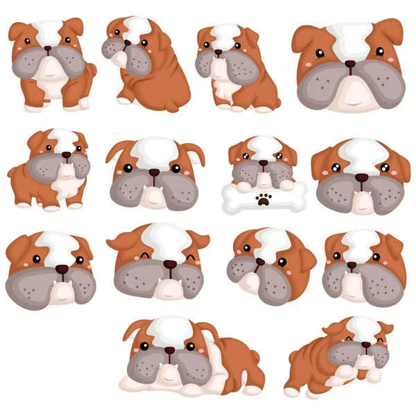 Ensemble Vecteurs Bulldog Avec Beaucoup Pose — Image vectorielle