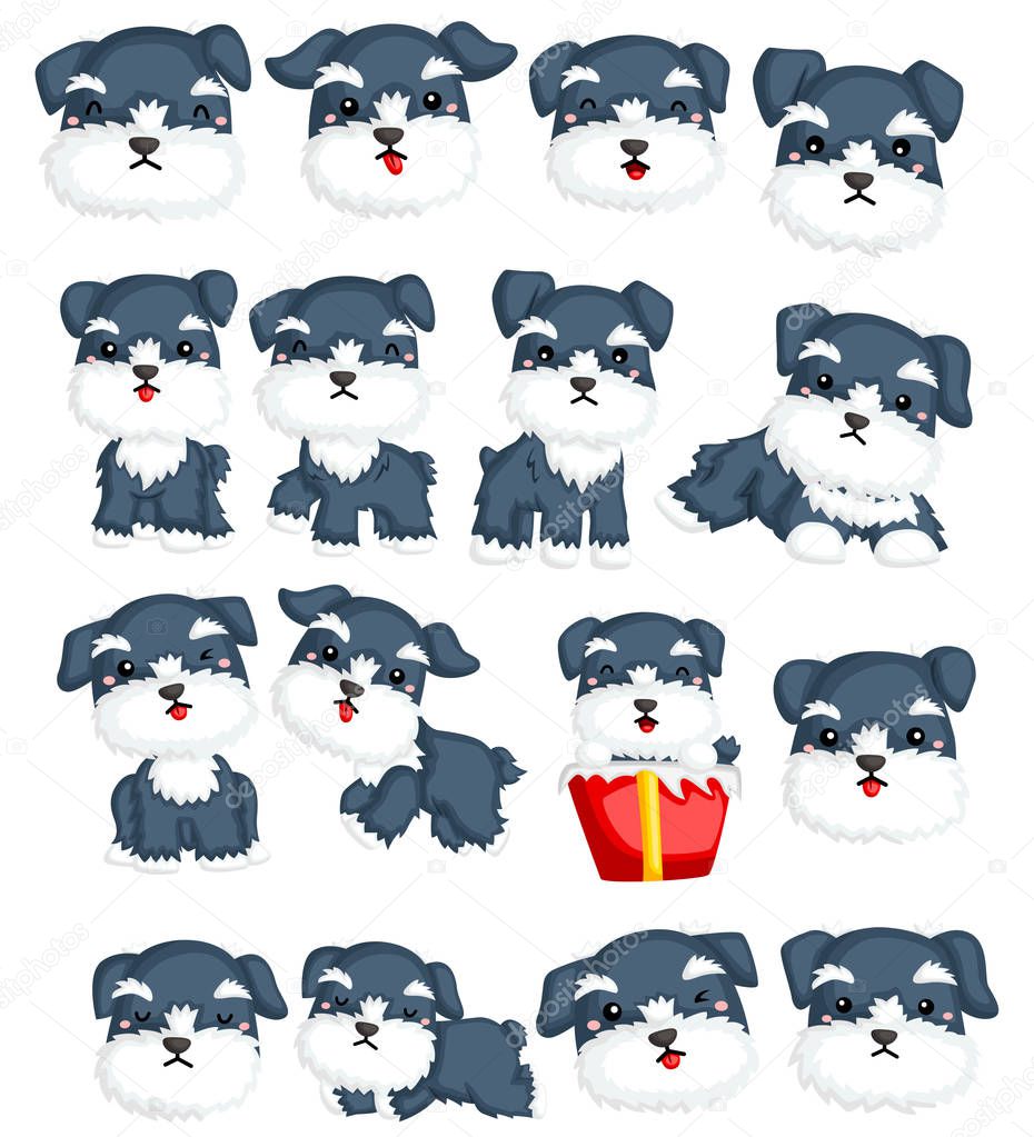 schnauzer vector set with many pose