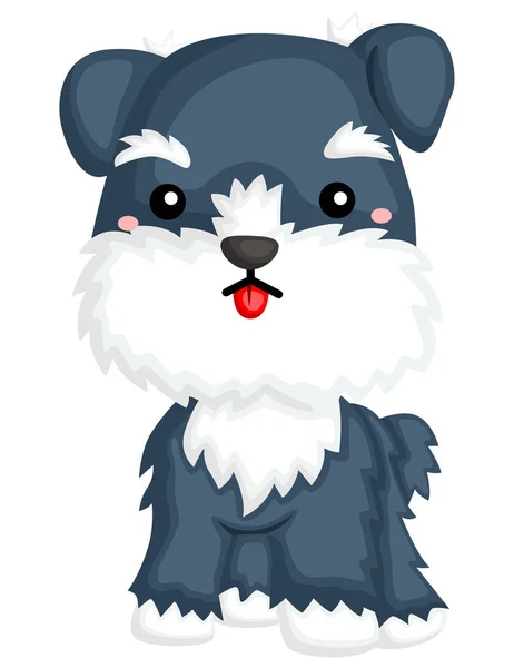 Egy Boldog Aranyos Schnauzer Kutyafajta — Stock Vector