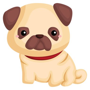 bir köpek pug saf ırk ile 