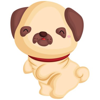 bir köpek pug saf ırk ile 