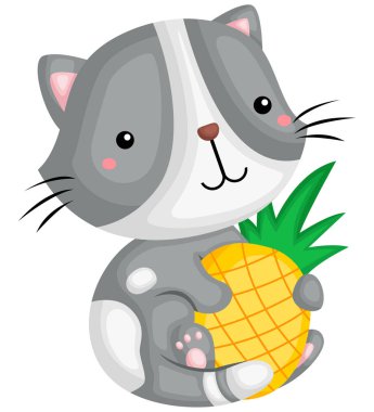 ananas meyve sarılma şirin gri renkli kedi 