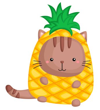 ananas kostüm giyen bir şirin kedi