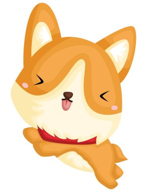 bir çok güzel ve şirin saf ırk corgi 