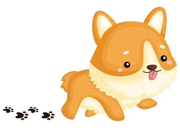 Een Schattig Lief Zuiver Ras Corgi — Stockvector