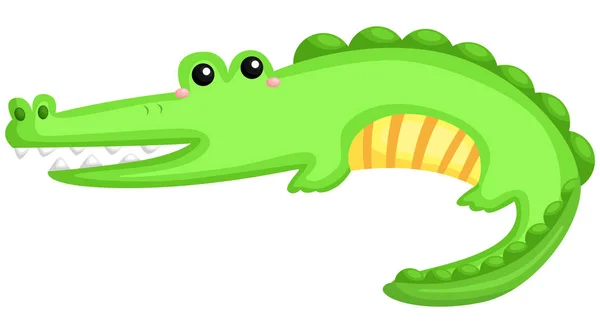 Cute Adorable Alligator His Big Tail — Stock Vector