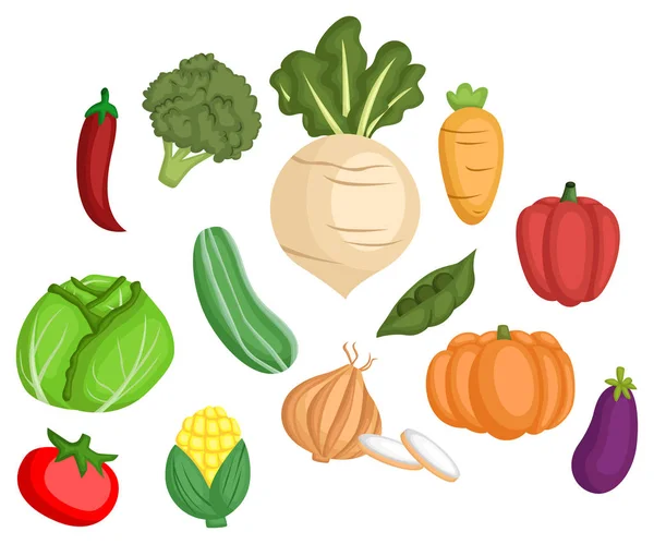 Many Type Vegetables One Vector Set — Stock Vector