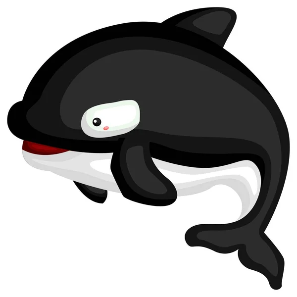 Vettore Una Balena Assassina Con Suoi Colori — Vettoriale Stock