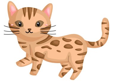 şirin bir bengal kedi vektör