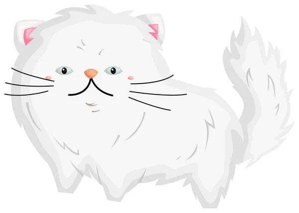 귀여운 페르시아 고양이의 — 스톡 벡터