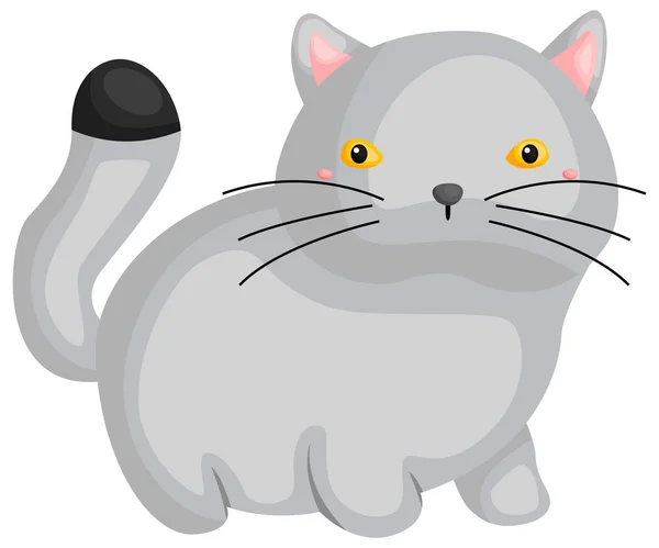 かわいいブリティッシュショートヘアの猫のベクトル — ストックベクタ