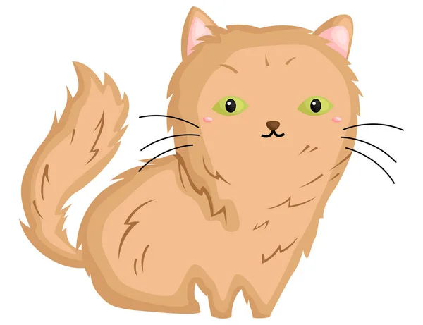 かわいいアンゴラ猫のベクトル — ストックベクタ