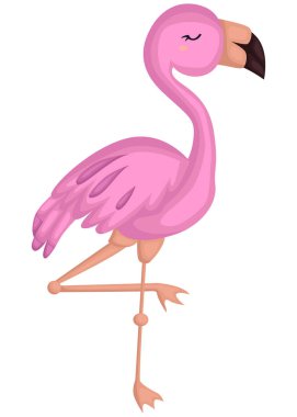 bir vektör bir sevimli pembe flamingo kuş