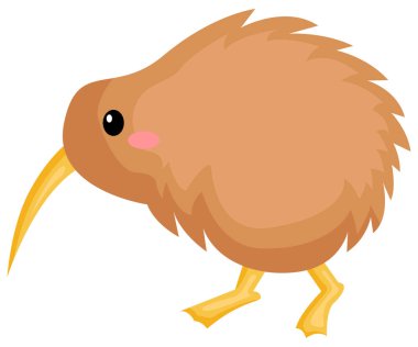 bir vektör bir şirin kivi kuş