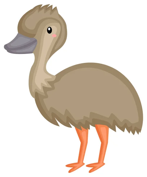 Vecteur Oiseau Emu Mignon — Image vectorielle