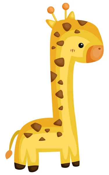 Ein Vektor Einer Niedlichen Und Entzückenden Giraffe — Stockvektor