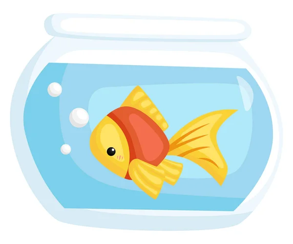 Ein Vektor Eines Goldfisches Einem Aquarium — Stockvektor