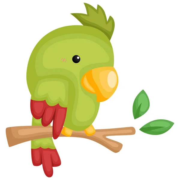 Ein Vektor Eines Niedlichen Und Entzückenden Papageien — Stockvektor