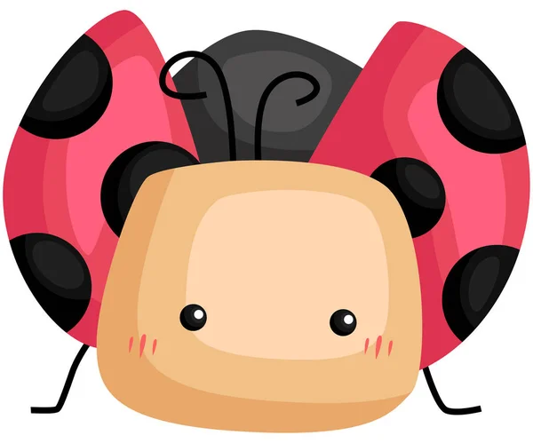 Vector Cute Adorable Lady Bug — Stock Vector