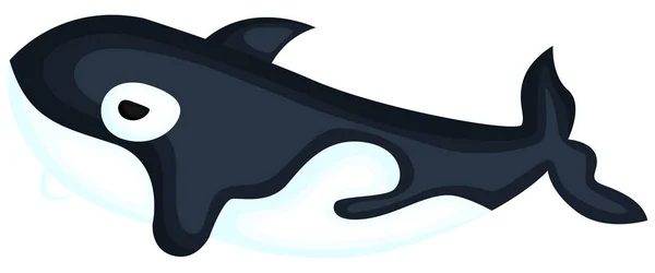 Vektor Egy Aranyos Kardszárnyú Delfin — Stock Vector