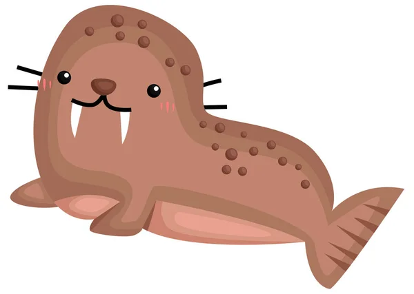 Vector Cute Adorable Walrus — Stock Vector