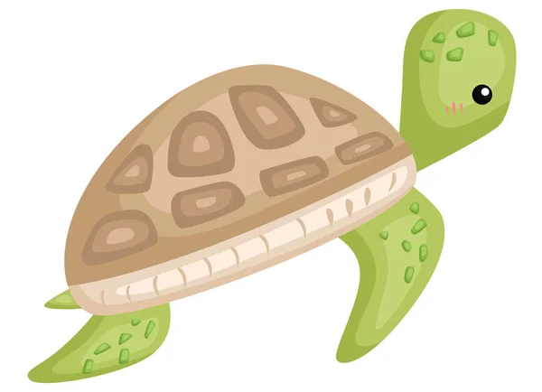 Вектор Симпатичной Восхитительной Черепахи — стоковый вектор
