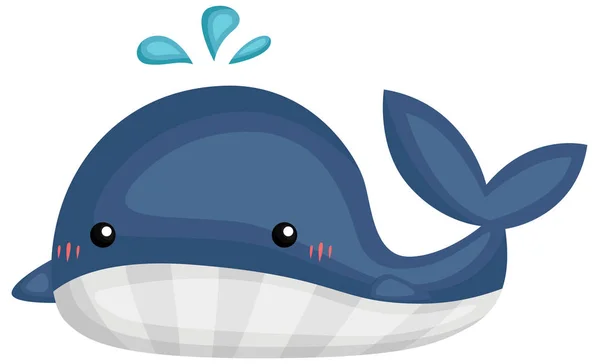 Vector Cute Adorable Whale — Stock Vector