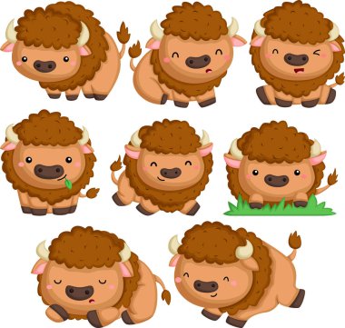 birçok pozlar birçok bizon bir vektör