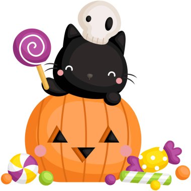 Şirin bir Kara Kedi Vektörü Şirin Balkabağı Tutan Lolipopun İçinde Saklanıyor