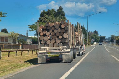 Hasat edilen çam kütükleri kamyonları kereste fabrikalarına taşıdı. Yeni Zelanda Orman Sanayii.