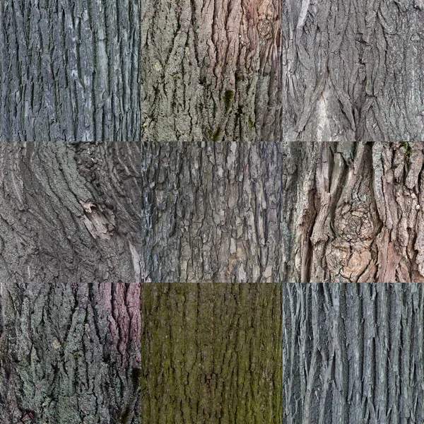 Realistyczne Drewniane Tekstury Zestaw Pojedynczych Obrazów Różnych Wzorów Kwadratowych Wysokiej — Zdjęcie stockowe