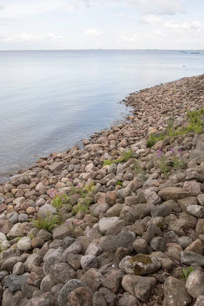 Stora Och Små Stenar Textur För Bakgrunder Högkvalitativt Foto — Stockfoto