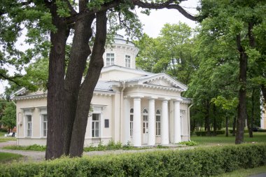 Petergof City 'de güzel bir peyzaj. Yüksek kaliteli fotoğraf.