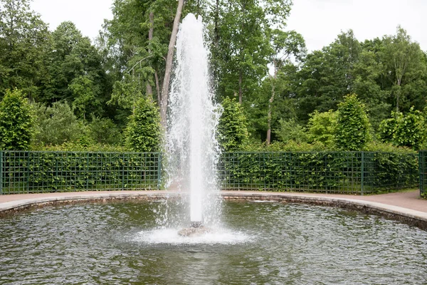 Brunnen Grünen Garten Petergof City Hochwertiges Foto — Stockfoto