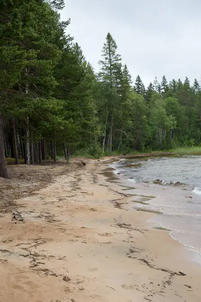 Sandstrand vid sjön nära skogen i Karelen — Stockfoto