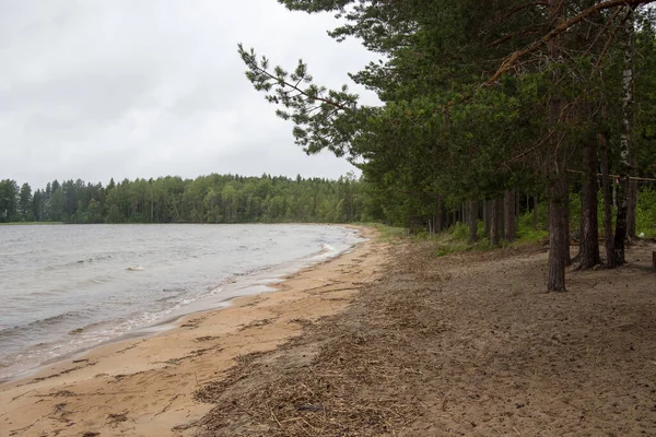 Piaszczysty brzeg jeziora w pobliżu lasu w Karelia — Zdjęcie stockowe