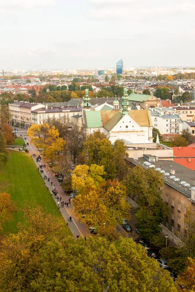 Krakow, Polonya 29 Ekim 2015: Krakow manzarası 