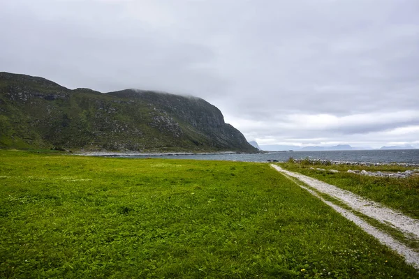 緑の風景とノルウェーより多くの のパス西ノルウェーのムーレ郡 最北の部分 — ストック写真