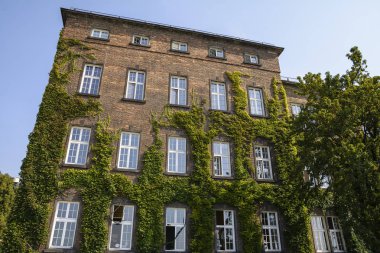 Krakow, Polonya - 2 Eylül 2016. Binanın mimarisi, Krakow, Polonya Wawel Royal Castle sur parçası. Yeşil bitkiler bahçede tırmanma.