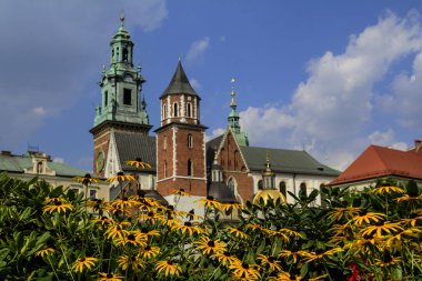 Güzel gezi Wawel Royal Castle ve renkli çiçeklerle, Krakow, Polonya